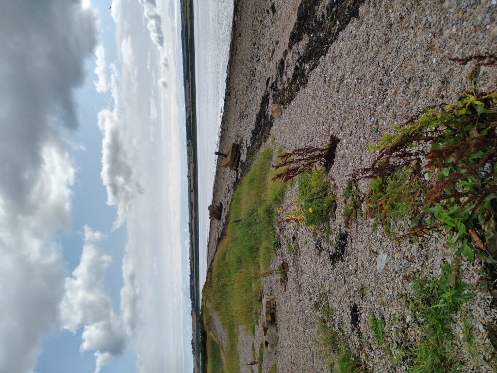 View S-E from the Slipway